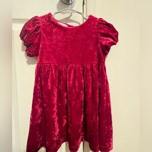 ZARA Velvet Dress Size 2-3T